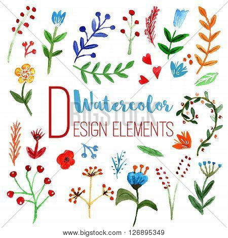 Collection of elegant floral hand painted colorful watercolor design elements isolated on white background. Red blue green yellow raster illustration.
