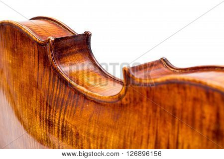 Back View Of A Violin Center Bout