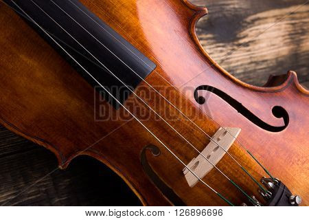 Violin Strings And Bridge