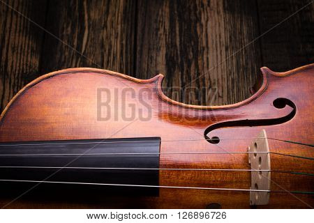 Close View Of A Violin Strings And Bout