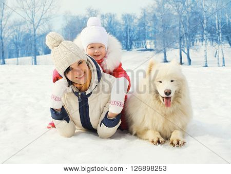 Mother and baby with white Samoyed dog together on snow in winter day