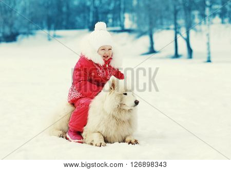 ?hild And White Samoyed Dog Walking In Winter Day