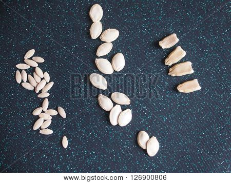 seeds of three types of vegetable cultures against a dark background