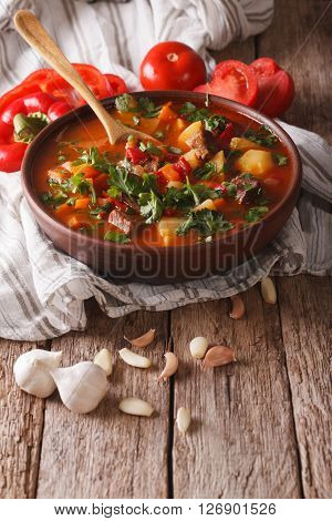 Tasty Hungarian Goulash Soup Bograch Close-up And Ingredients. Vertical