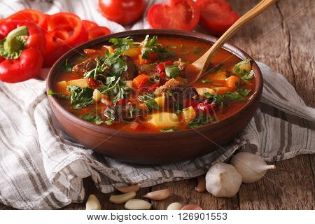 Homemade Hungarian Goulash Soup Bogracs Close-up. Horizontal