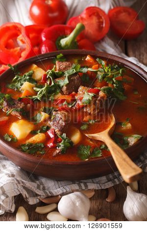 Traditional Hungarian Goulash Soup Bogracs Close-up In A Bowl. Vertical