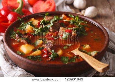 Hungarian Goulash Soup Bograch Close-up. Horizontal