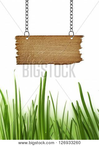 Wooden sign for your text with grass isolated on white