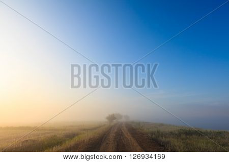 Misty dawn early morning nature grassland landscape view in russian countryside. Mysterious Volga river rural road in fog with vivid colors.