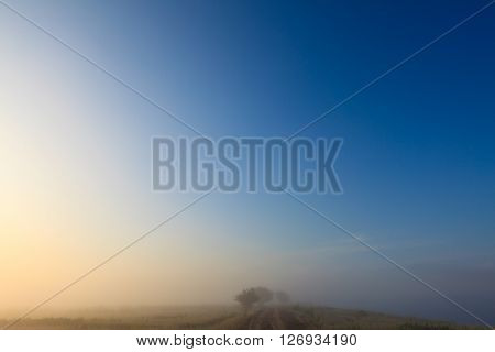 Misty dawn early morning nature grassland landscape view in russian countryside. Mysterious Volga river rural road in fog with vivid colors.