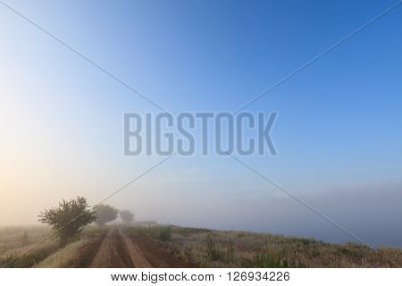 Misty dawn early morning nature grassland landscape view in russian countryside. Mysterious Volga river rural road in fog with vivid colors.