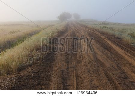 Misty dawn early morning nature grassland landscape view in russian countryside. Mysterious Volga river rural road in fog with vivid colors.
** Note: Visible grain at 100%, best at smaller sizes