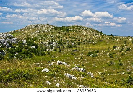 Panorama of Pester plateau landscape in southwest Serbia