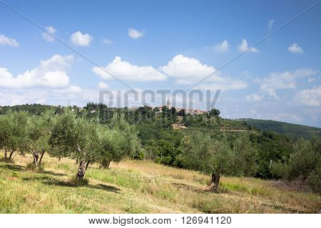 Groznjan (Italian: Grisignana) is a settlement and municipality in Croatia.
