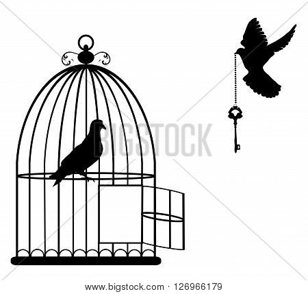vector illustration of a bird cage open with doves flying with a key