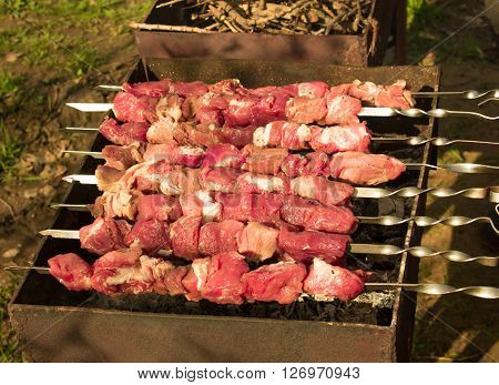 Crude shish kebab skewer on the grill