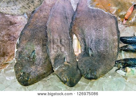 Sole fish on ice for sale at a market