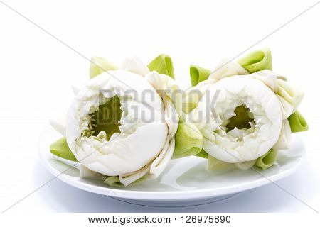 white lotus flower in a dish on white background