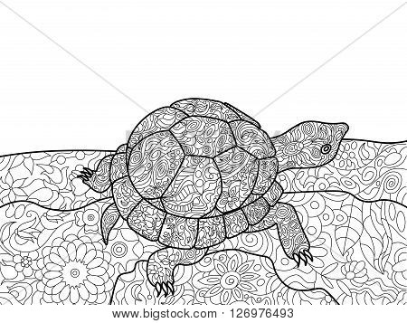 Turtle animal coloring book for adults vector illustration. Anti-stress coloring for adult. Turtle animal zentangle style. Black and white lines. Lace pattern