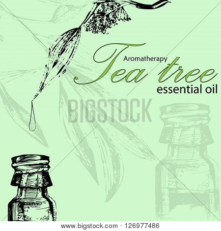 vector illustration of essential oil of tea tree in the style of hand drawn