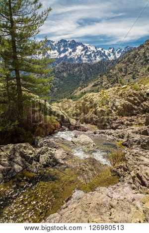 Small mountain stream in Corsica with the Asco mountains and Monte Cinto in the background