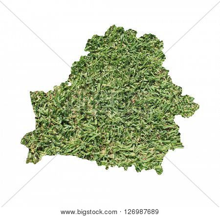 Map of Belaarus filled with green grass, environmental and ecological concept.
