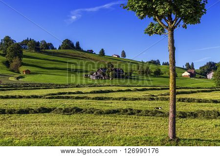 Appenzell hill landscape by beautiful day, Switzerland