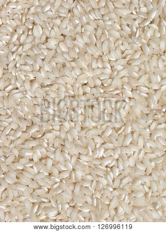 Carnaroli Rice Food
