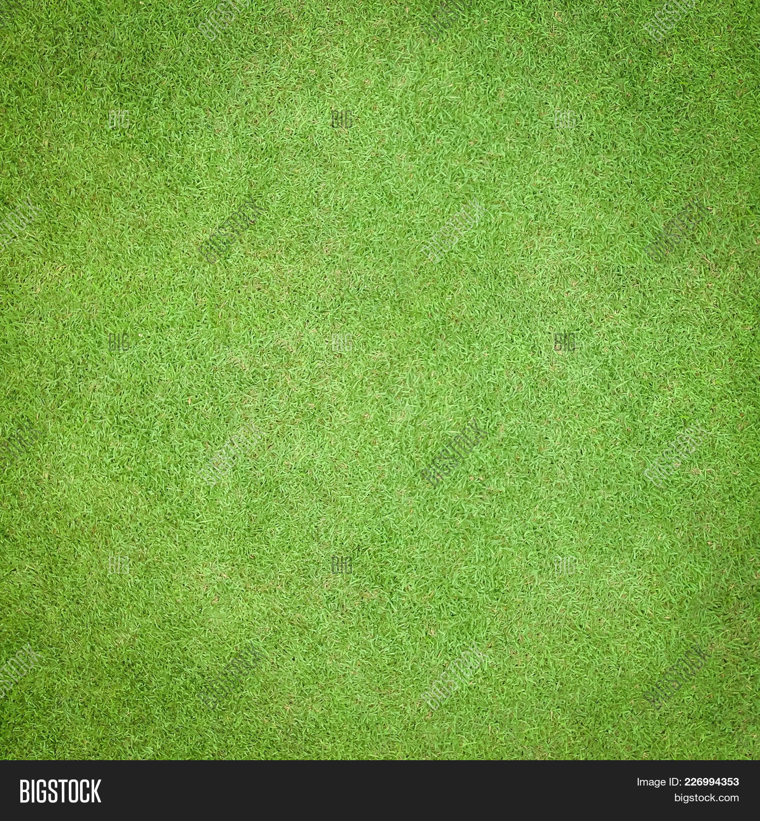 Natural Grass Texture Image Photo Free Trial Bigstock