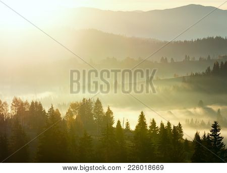 First  Sunrise Rays Of Sun And Shadows Through Fog And Trees On Slopes. Morning Autumn Carpathian Mo