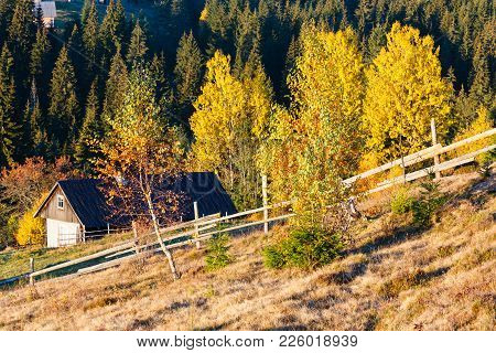 Morning Carpathian Mountains And Village Hamlets On Slopes (yablunytsia Village And Pass, Ivano-fran