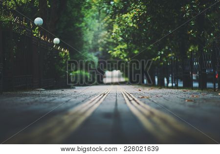Shallow Depth Of Field Photo Shooting Of Park Walkway With Guide Tactile Paving Tiles For Blind Peop