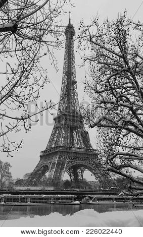 Paris, France : Black And White Eiffel Tower With Bare Trees In Winter.