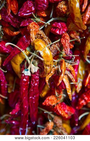 Collection of the dry chili pepper (natrural herbal food spices)