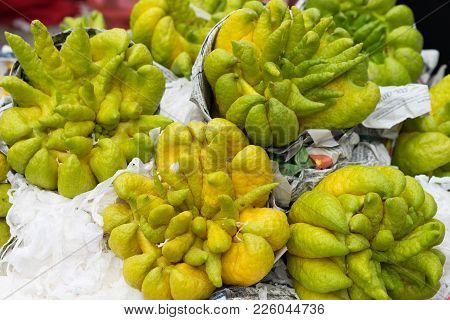 Buddha Finger Citron Digitate Citrus Fruit In Oriental Worship