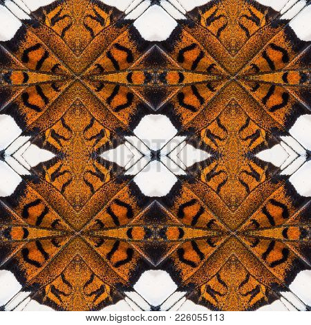 Background Created From Butterfly Wings