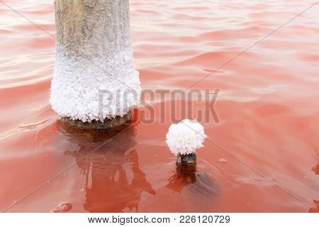 The Salty Lake With Pink Water And The Beach From Salt. Old Logs Pier On Lake Sasyk In The Crimea. S
