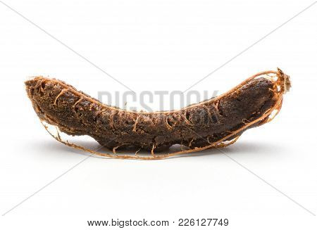 Open Tamarind Brown Jelly Flesh Isolated On White Background One Indian Date Without Shell