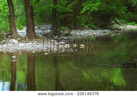Picturesque Reflections Of Tree Trunks In A Beautiful Pond Of A Temperate Forest