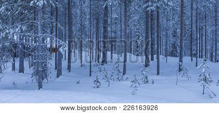 Travel Concepts. Lonely House Located  Among Tranquil Amazing And Picturesque Nordic Nature Scenery 