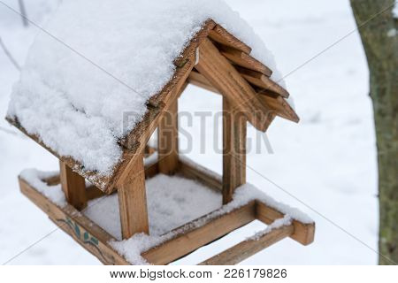 Feeder For Birds In The Winter Forest.