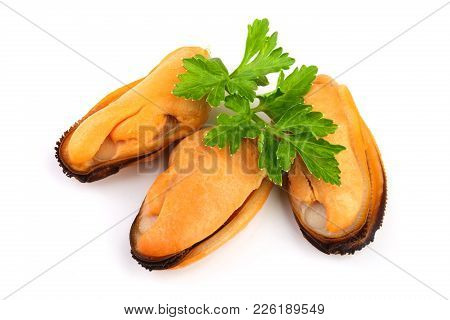 Three Mussel With Parsley Leaf Isolated On White Background.