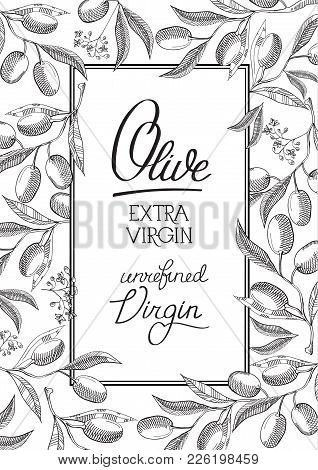 Oval Design Decorative Postcard With Text By The Different Printing Type About Olive Extra Virgin Oi