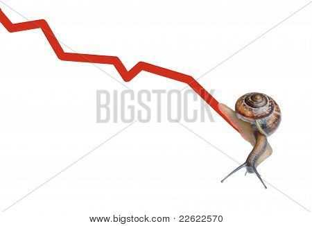 Caracol na moeda de gráfico