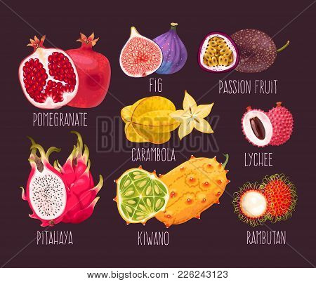 Vector Set Of Exotic Fruit And Its Slices