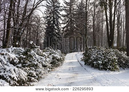 Empty Snow Covered Road In Winter Landscape