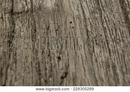 Gray Oakwood Surface, Background Texture, Wood Pattern