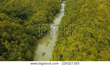 Aerial View, River In The Rainforest Among The Jungle Tropical Loboc River In The Rain Forest In Asi
