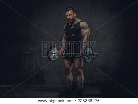Bodybuilder Doing Biceps Workouts On Grey Background In Studio.