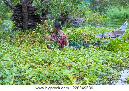 Tonle Sap , Cambodia - Oct 18 : Cambodian Woman In Tonle Sap Lake Cambodia On October 18 2017. Tonle